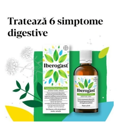 Iberogast Tropfen, 50 ml, Bayer