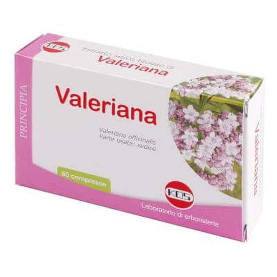Extracto seco de valeriana 60 comprimidos