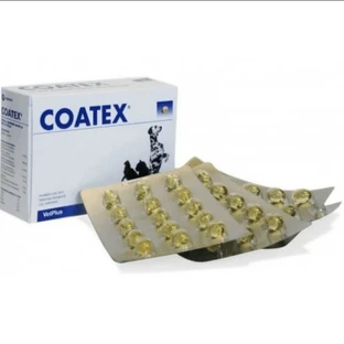 Coatex 60 Kapseln