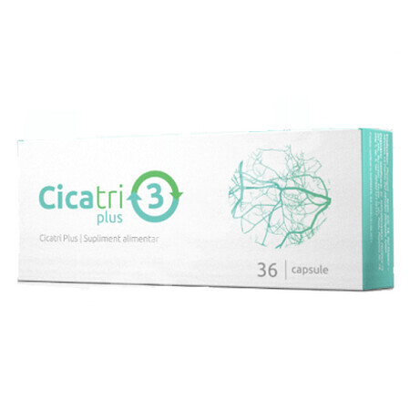 Cicatri Plus, 36 Kapseln, Planta Pol