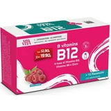 Sanavita b vitamine b12 15 flacons
