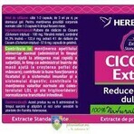 Cichorei-extract, 60 capsules, Herbagetica