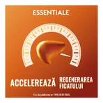 Essentiale MAX 600 mg, 90 capsules, Sanofi