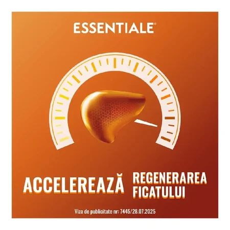Essentiale MAX 600 mg, 3 x 90 capsules, Sanofi