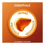 Essentiale MAX 600 mg, 3 x 90 capsules, Sanofi