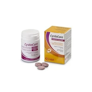 Cystocure forte tin 30 tabletten