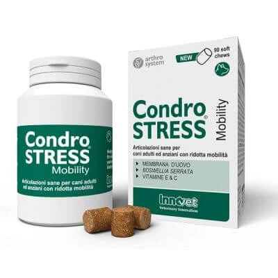 Chondrostress mobiliteit 90 zachte tabletten