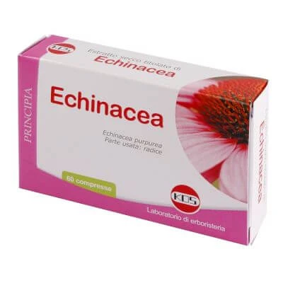 Echinacea droog extract 60 tabletten