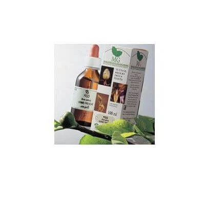 Kastanje glycerine maceraat 100 ml