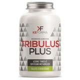 Tribulus plus 60 capsules