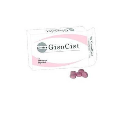 Gisocist 15 doorslikbare tabletten