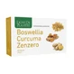 Boswellia kurkuma gember 60 capsules