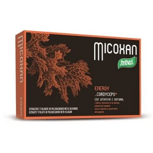 Micoxan energy 40 Kapseln