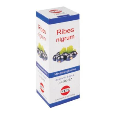 Ribes nigrum glycerine maceraat 100 ml druppels