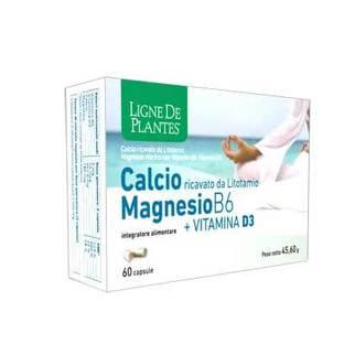 Calcium + Magnesium b6 + Vitamin d3 60 Kapseln