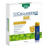 ESI Biocollagenix Forte, 10 viales bebibles