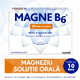 Magne B6