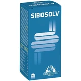 Sibosolv 60 säurebeständige Kapseln