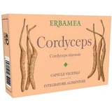 Cordyceps 24 vegetarische Kapseln