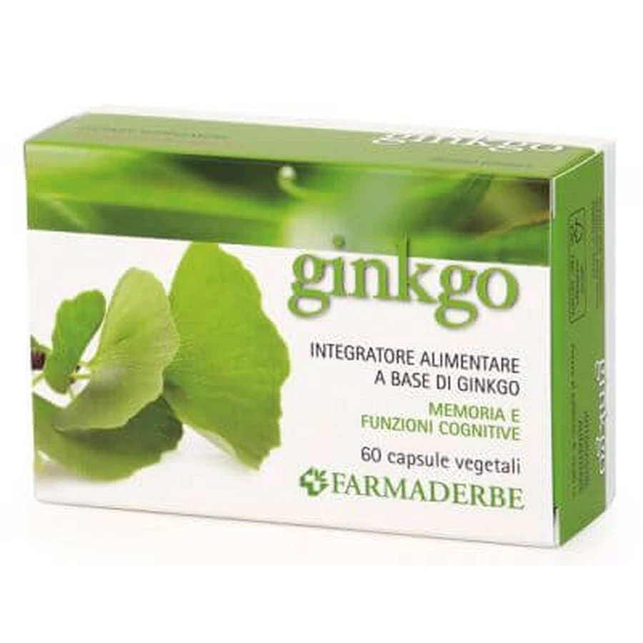 Ginkgo biloba 60 Kapseln
