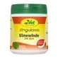 Corteccia di olmo singolare (europeo) 200 g