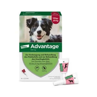 Advantage Spot-On 250 tegen vlooien middelgrote honden 4 stuks.