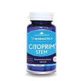 Cytoprim + Stem, 60 capsule, Herbagetica