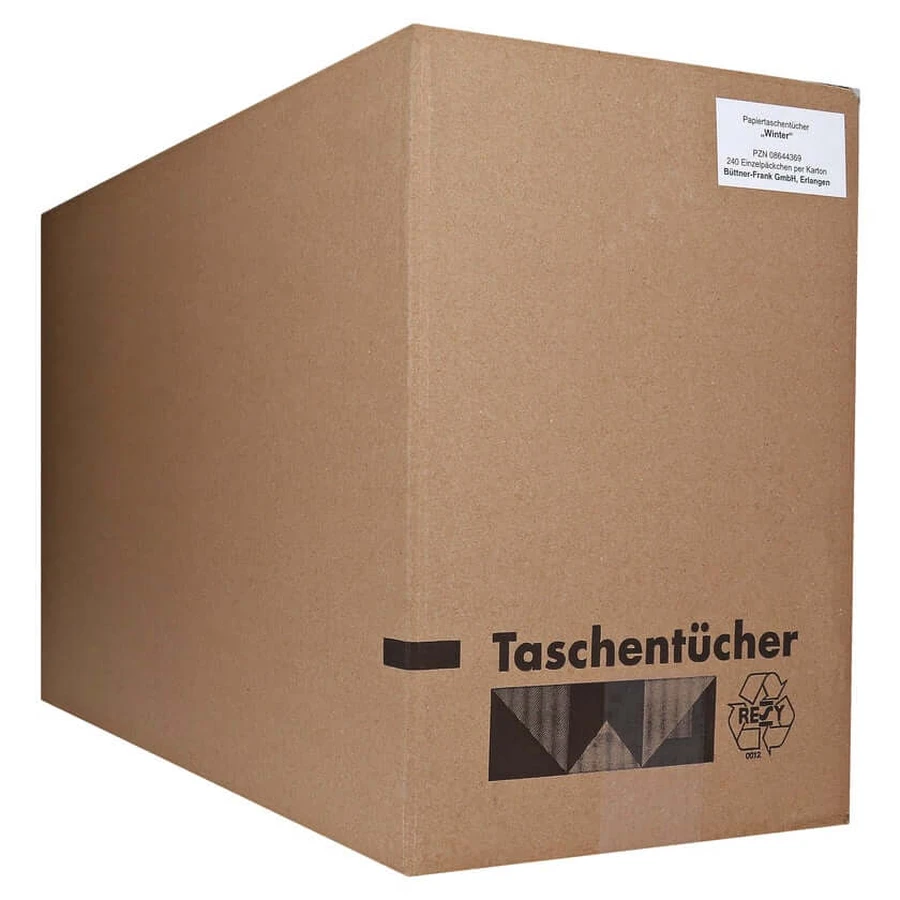 Taschentücher Motiv Winter 1 St