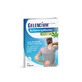 GELENCIUM pain plaster 6 pcs.