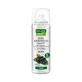 RAUSCH SHAMPOO SECCO Fresco 50 ml