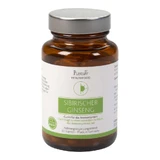 Siberische ginseng hoge dosering veganistische capsules 60 Capsules