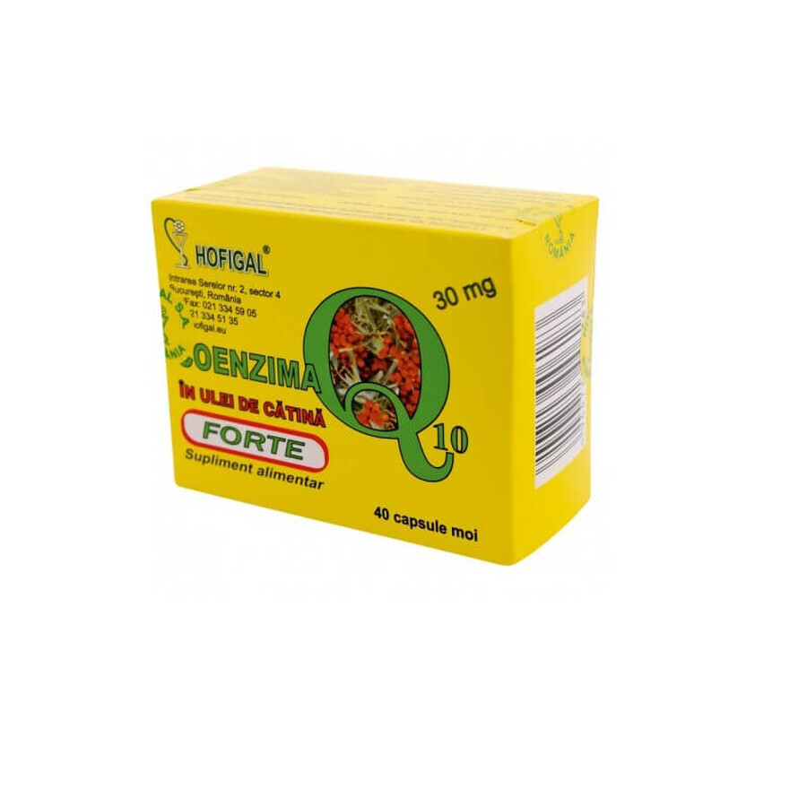 Coenzima Q10 nell'olio di olivello spinoso Forte 30 mg, 40 capsule, Hofigal