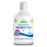 Probiotico Liquido, Bifidobacterium lactis + Vitamina C + L-glutamina, 500 ml, Swedish Nutra