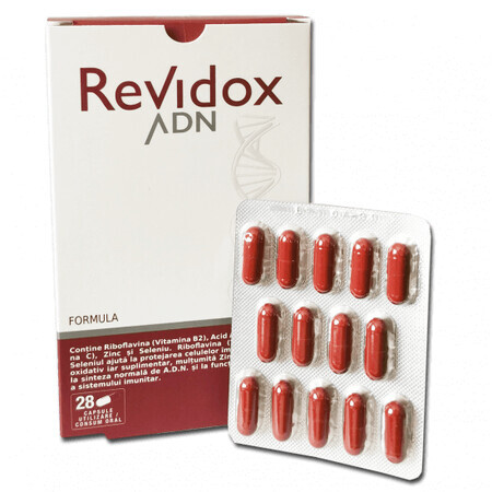 Revidox ADN, 28 capsule, Actafarma