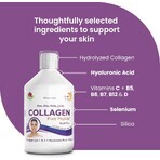 Hydrolysat fluide de collagène de type 1 et 3 (10000 mg), 500 ml, Swedish Nutra