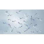 Fertilovit M plus capsules 90 Capsules