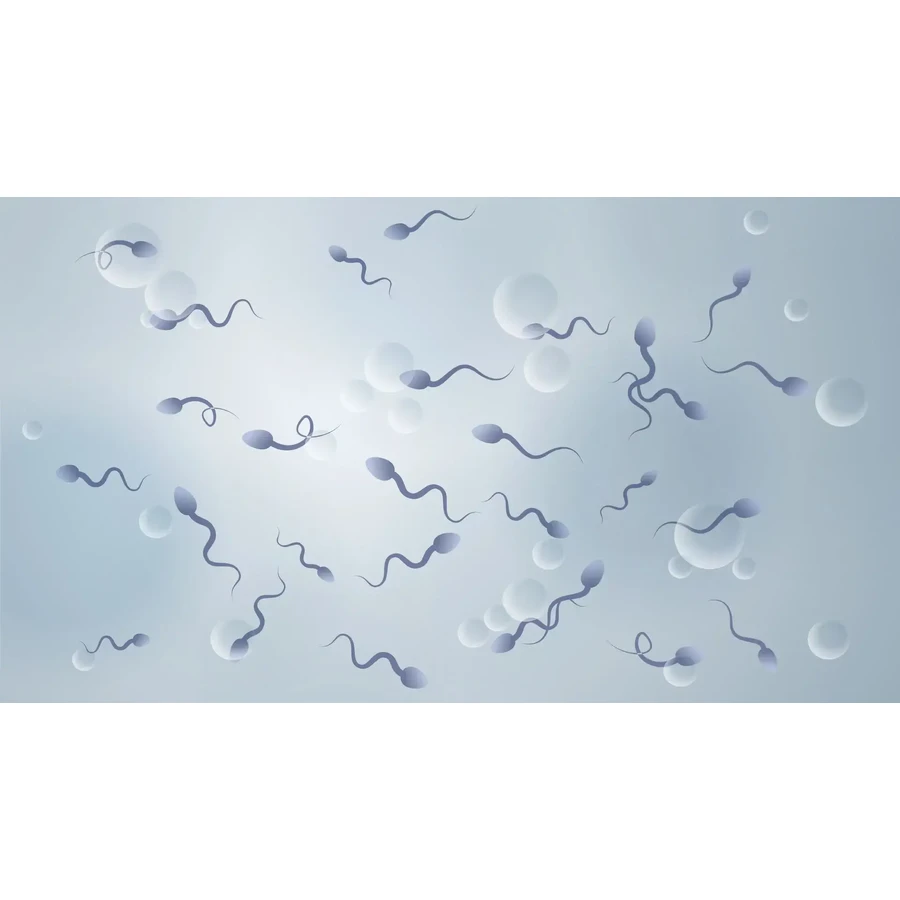 Fertilovit M plus capsules 90 Capsules