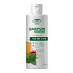 Shampoo 99,5% plantaardig met appel- en brandnetelazijn, 200 ml, Ceta Sibiu