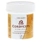 Cordyceps Vitalpilz Terra Mundo Kapseln 60 St