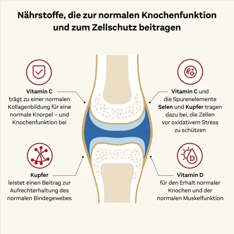 Doppelherz System Collageen 11.000 Plus Gezondheid & Mobiliteit, 30 × 25 ml
