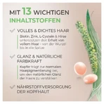 Merz Spezial Haar-Activ, 120 dragees 