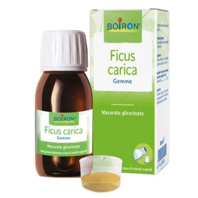Ficus carica knoppen gemacereerd glycerinaat 60 ml int