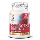 Colours of life pure hydrolyzed marine collagen 60 capsules 575 mg