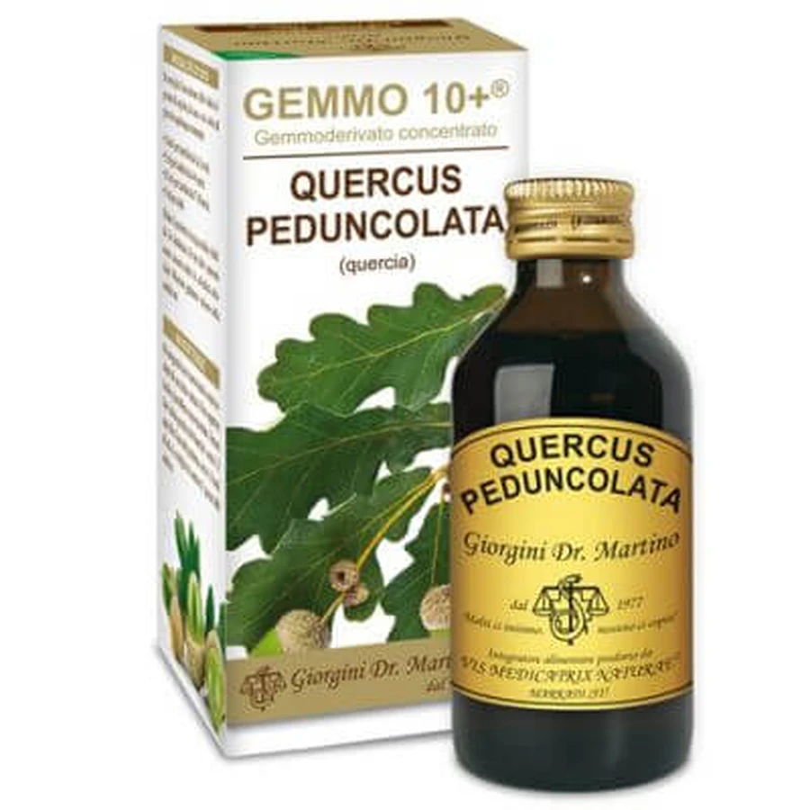 Gemmo 10+ eik 100 ml alcoholvrije vloeistof