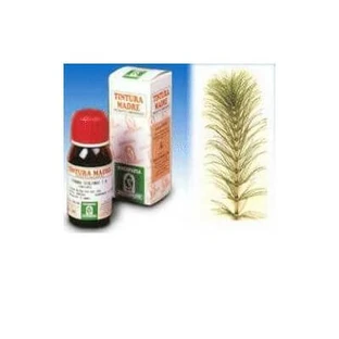 Heermoes 12 50ml tm