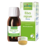 Ribes nigrum macerat gliceric 60 ml int