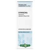 Gymnema sylvestre hydroalcoholische oplossing 50 ml