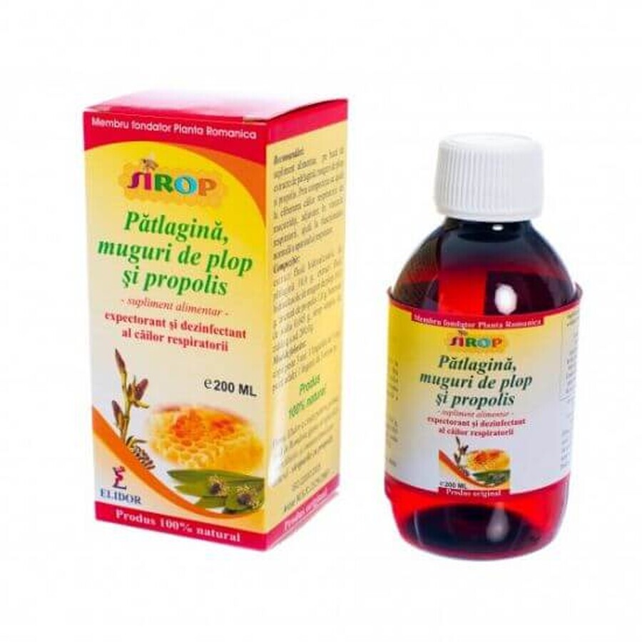 Kiefernknospen-Sirup mit Patlagin und Propolis, 200 ml, Elidor