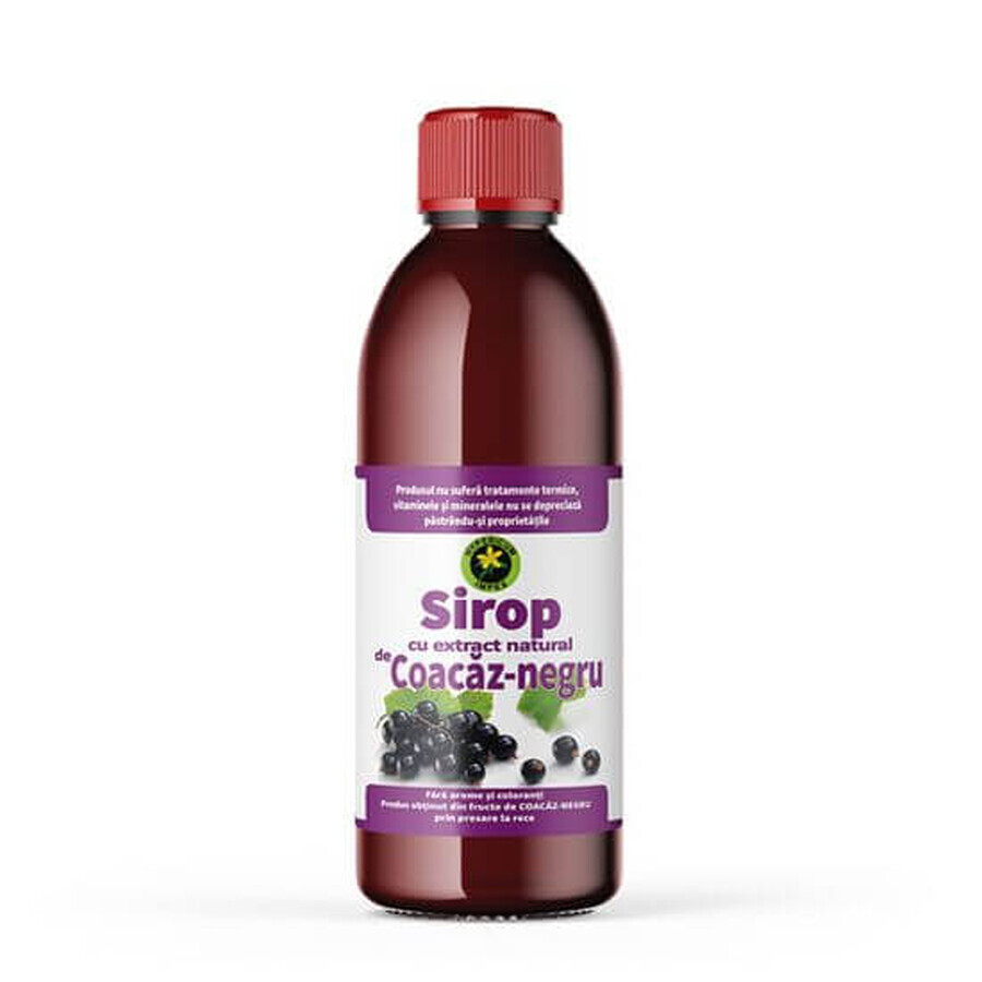 Sirup aus schwarzen Johannisbeeren mit Zucker, 500 ml, Hypericum