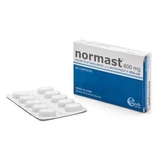 Normast 600 mg 20 tabletten